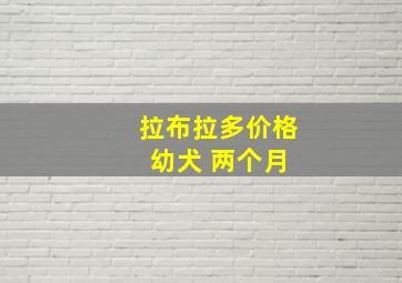 拉布拉多价格 幼犬 两个月